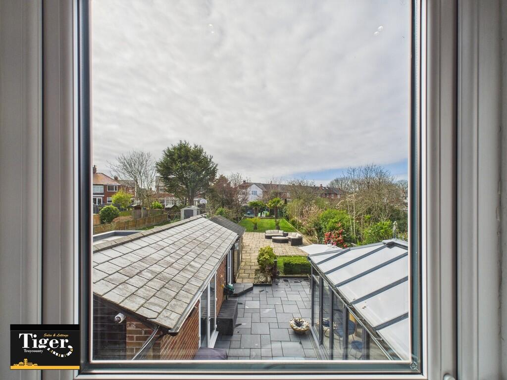 CAM02176G0-PR0528...