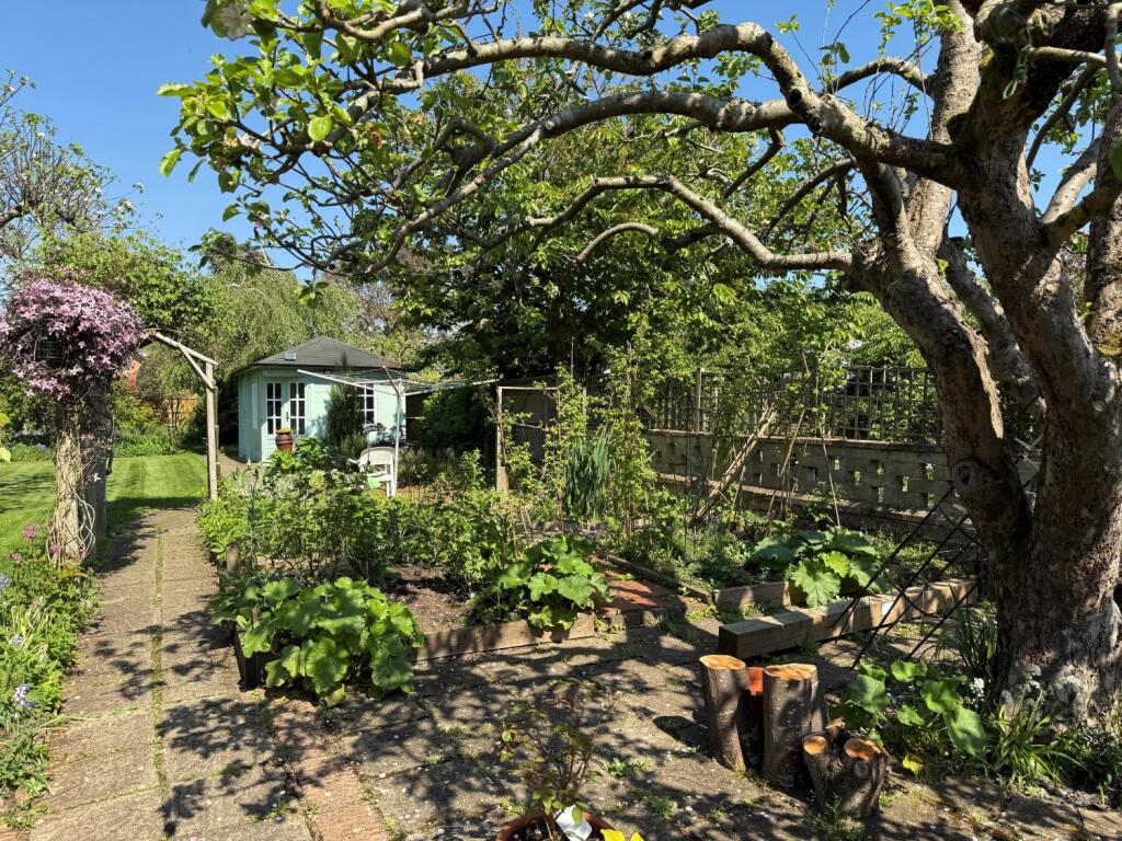 woodbine gdn 5