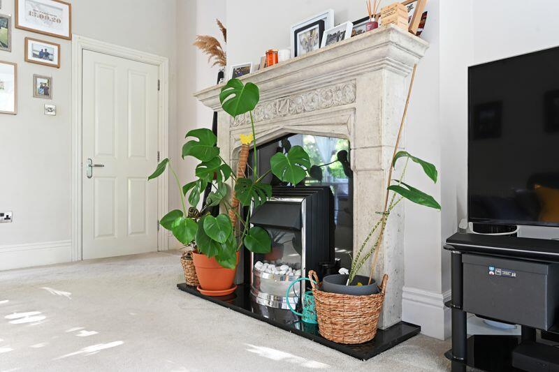 Feature Fireplace