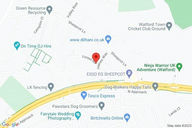 Google Maps Image