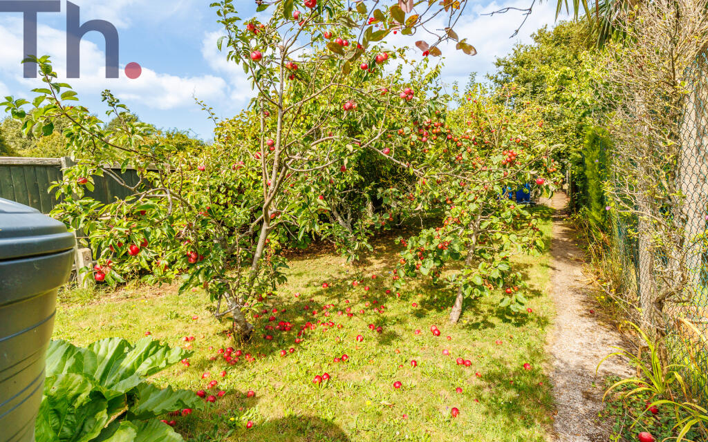 Orchard