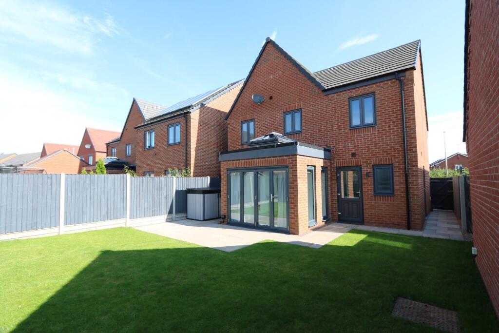 IMG_1127 - 2024-12-10T221757.359948Z.JPG