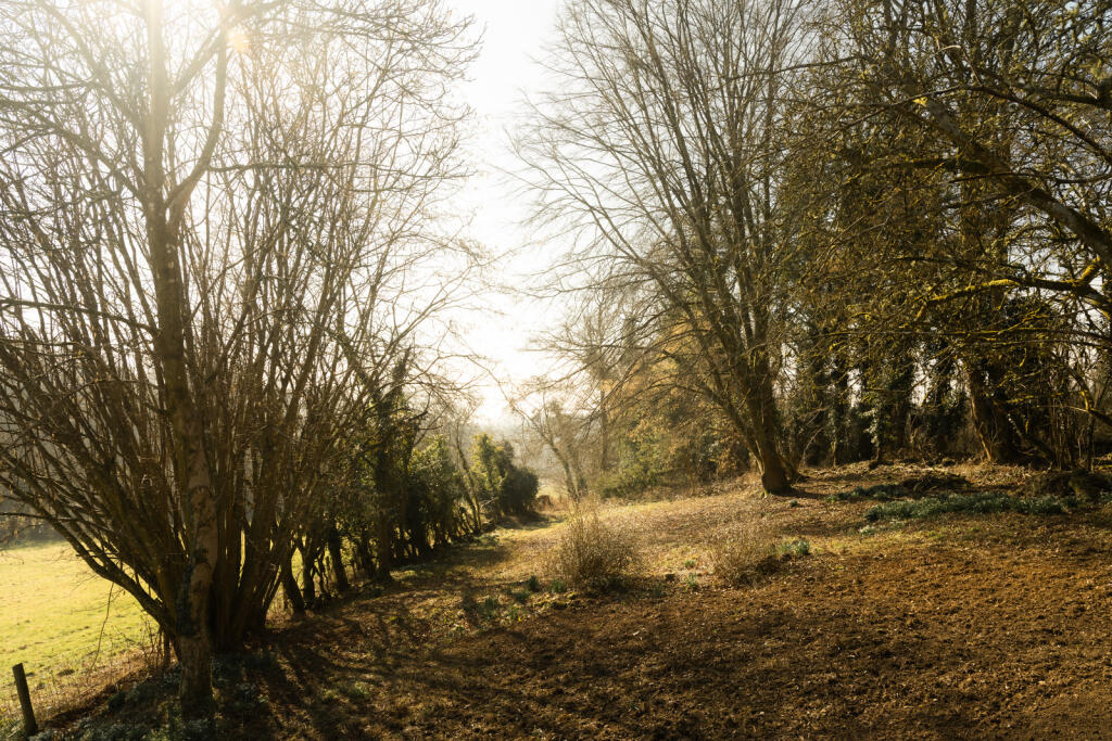 267878 - RL.hr-11.jpg