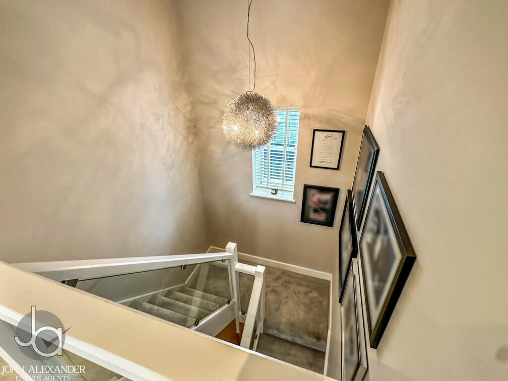 20241017_14013670...