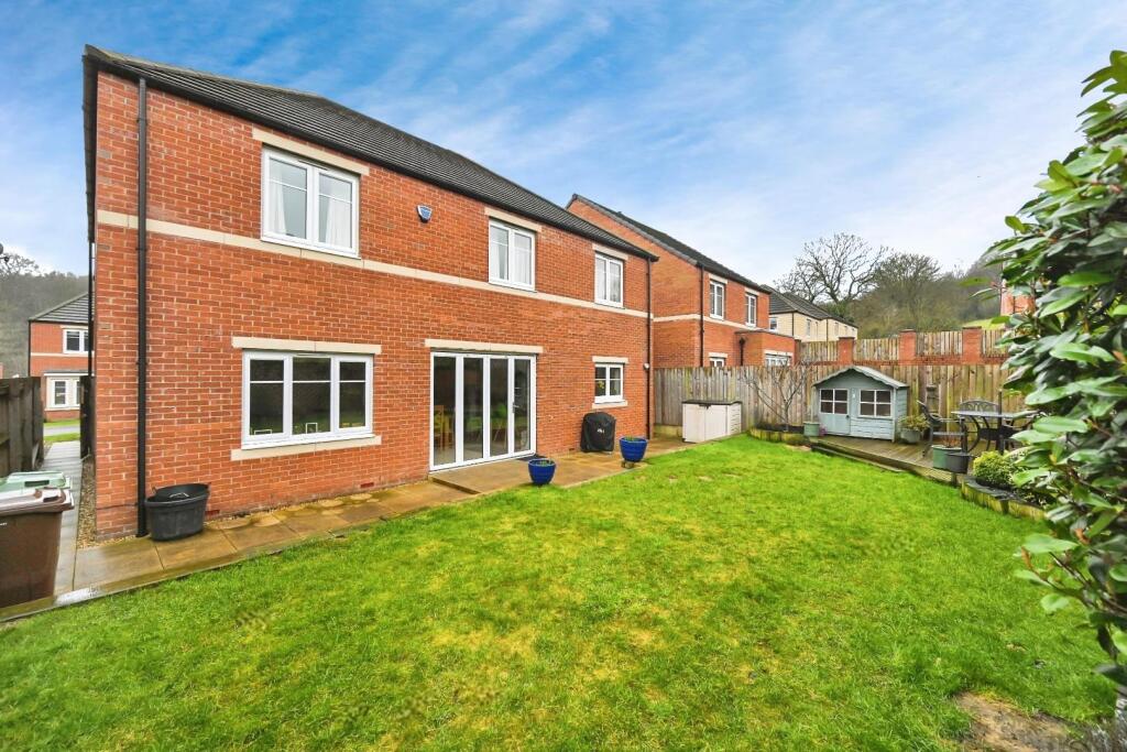 editedimage-91c93b7b-57d7-4cc5-b081-80b7651c4303 2