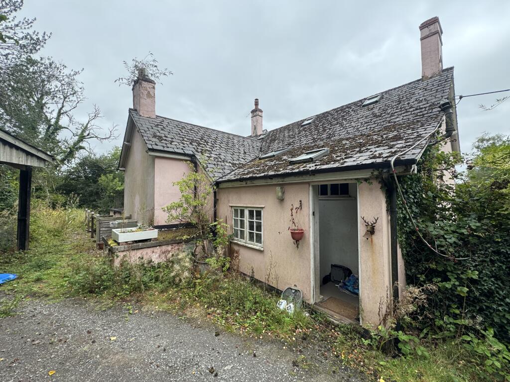 IMG 0904 T202508111315.jpeg