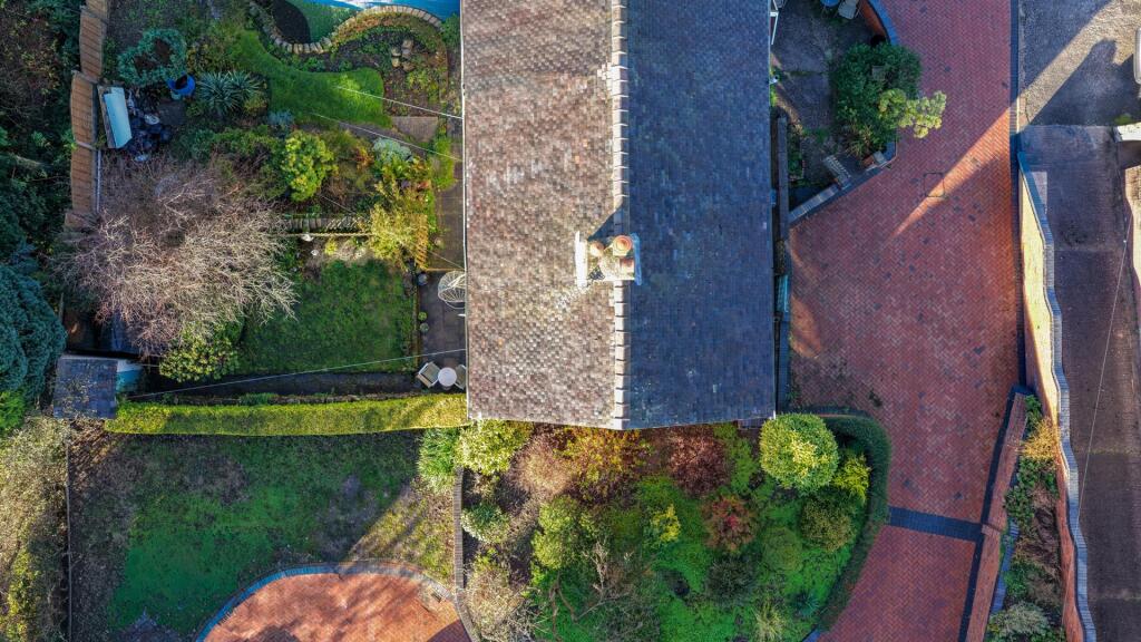 DJI_20251118114558_0105_D.jpg