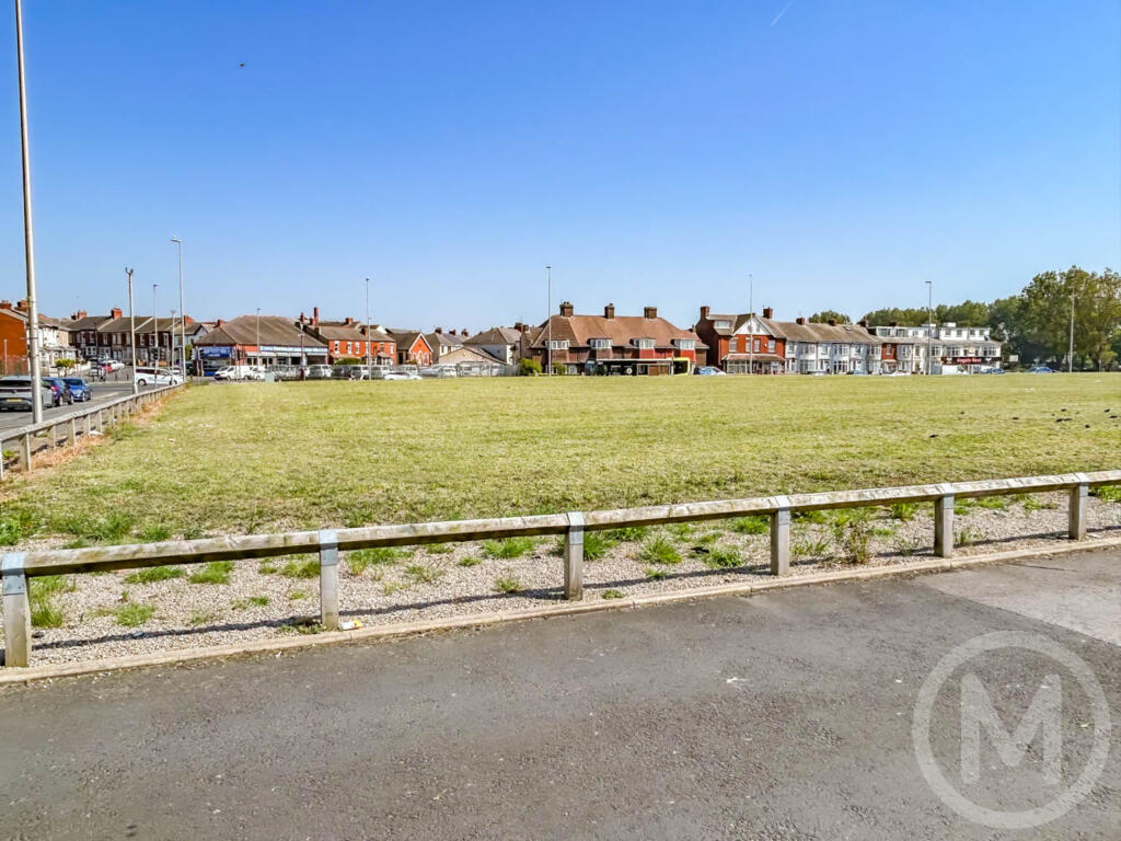 johnston FFF (5).JPG