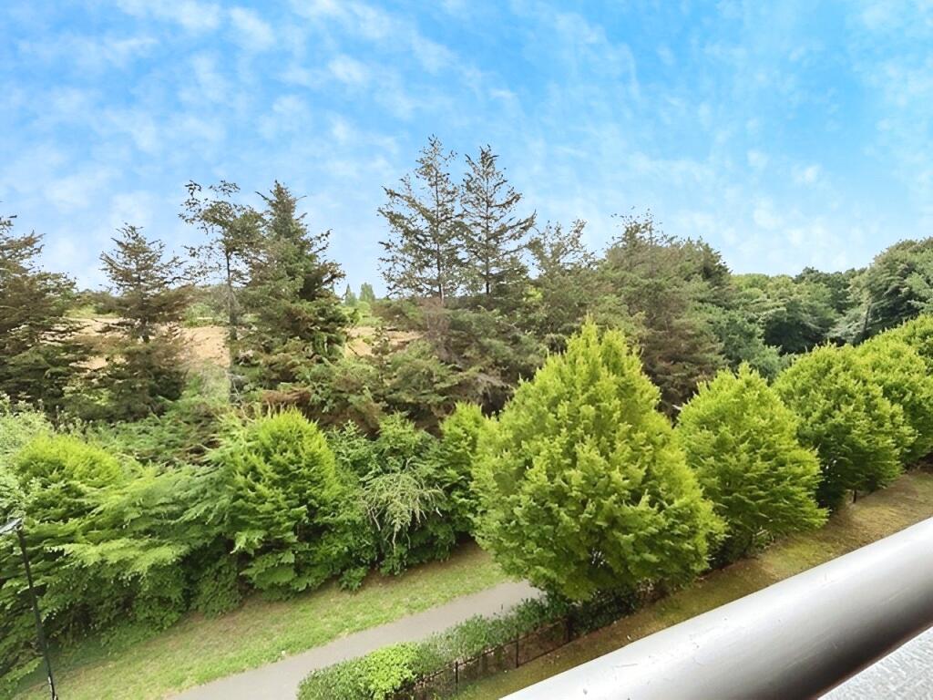 External