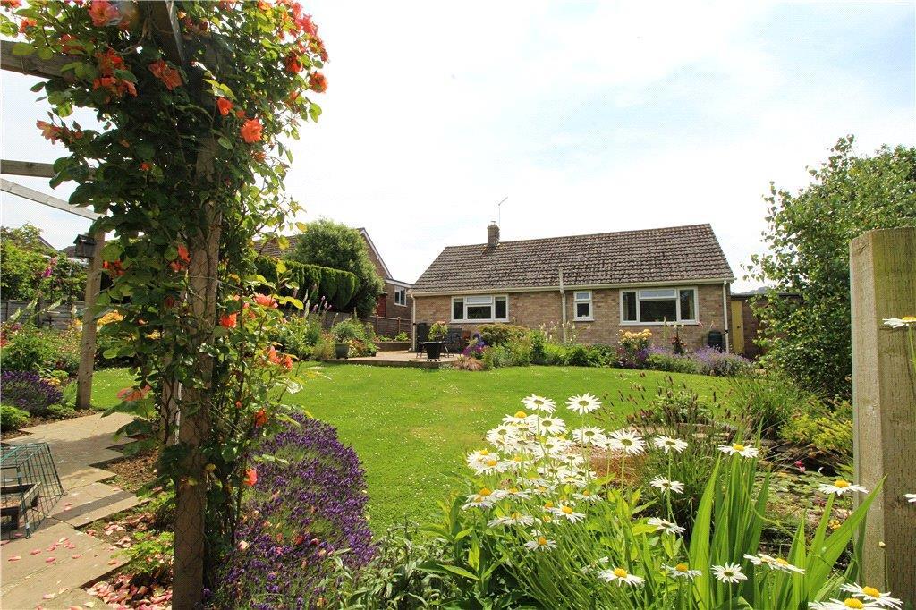 Garden in Summer