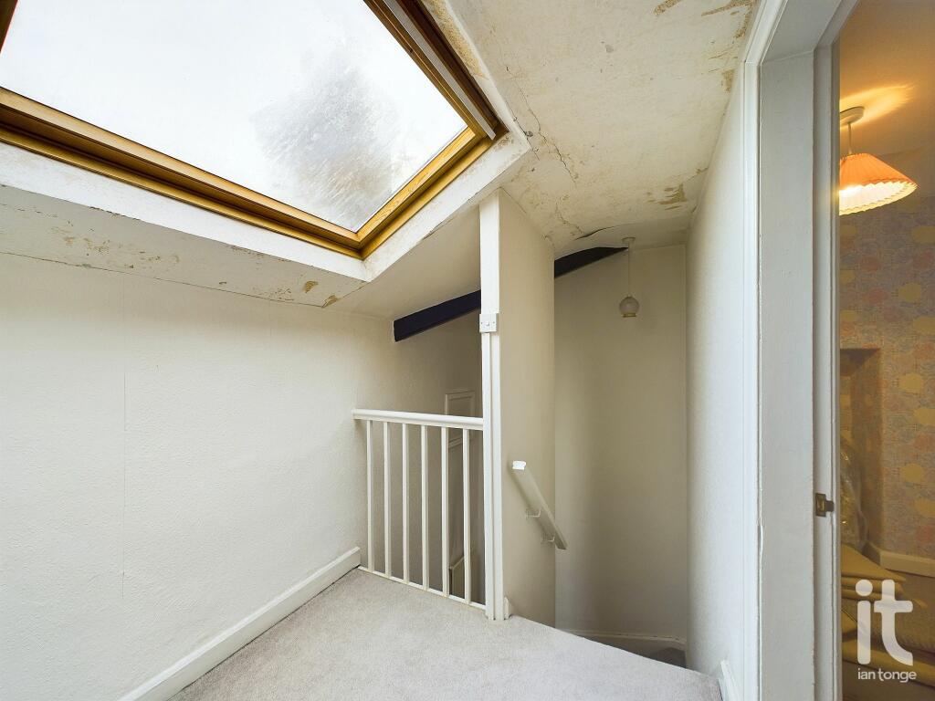 Photograph 41