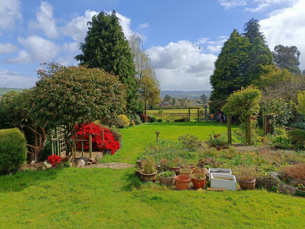 Vendor Summer Garden 