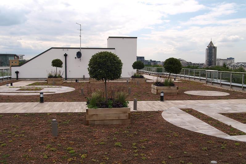 External