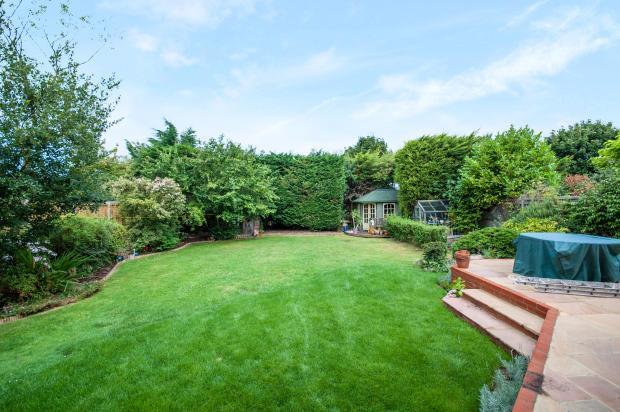 Back Garden