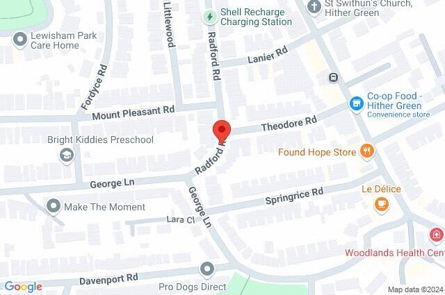 Google Maps Image