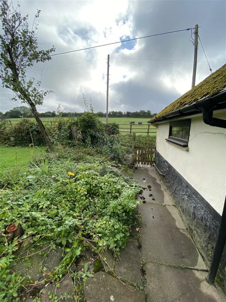 2 Wisdom Lane Garden 4.jpg