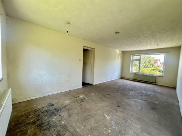 3 (Small) T202408271418.jpeg