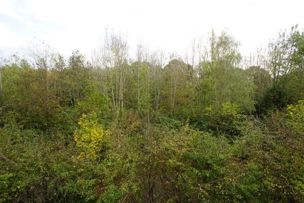 View From Kitchen &amp; Bedroom Windows