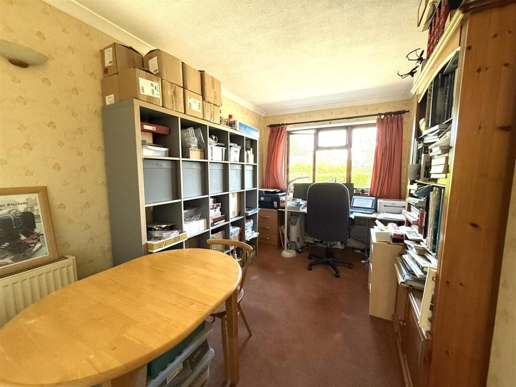 6 the pingle study.jpeg