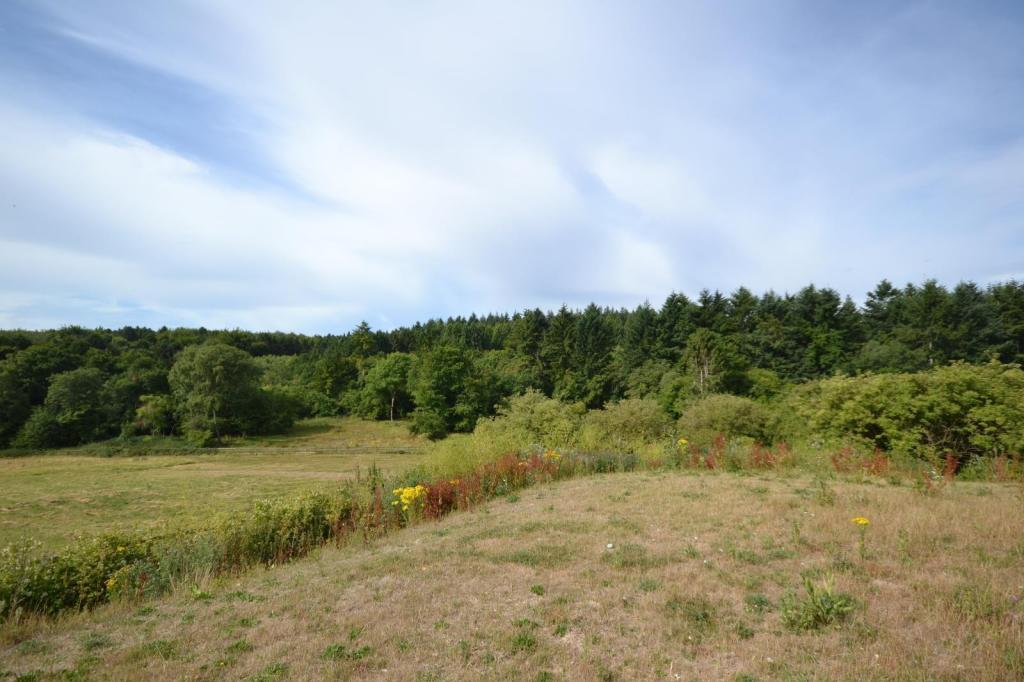 Bentley Wood