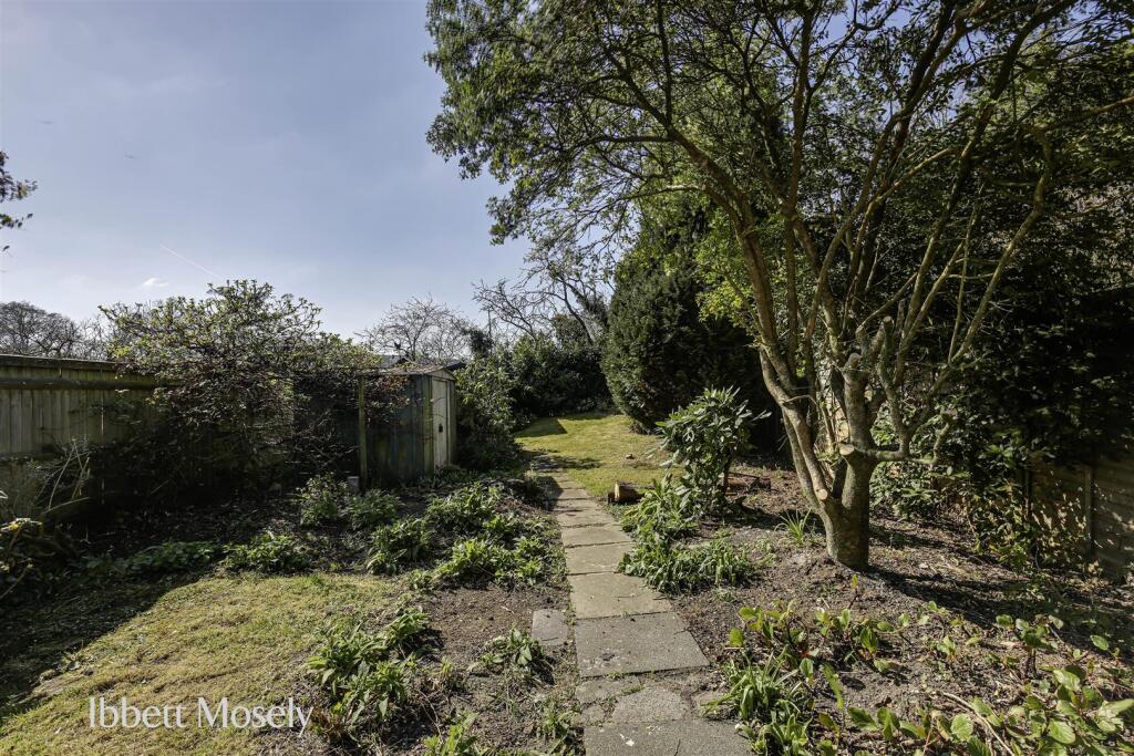 New garden (1).jpg