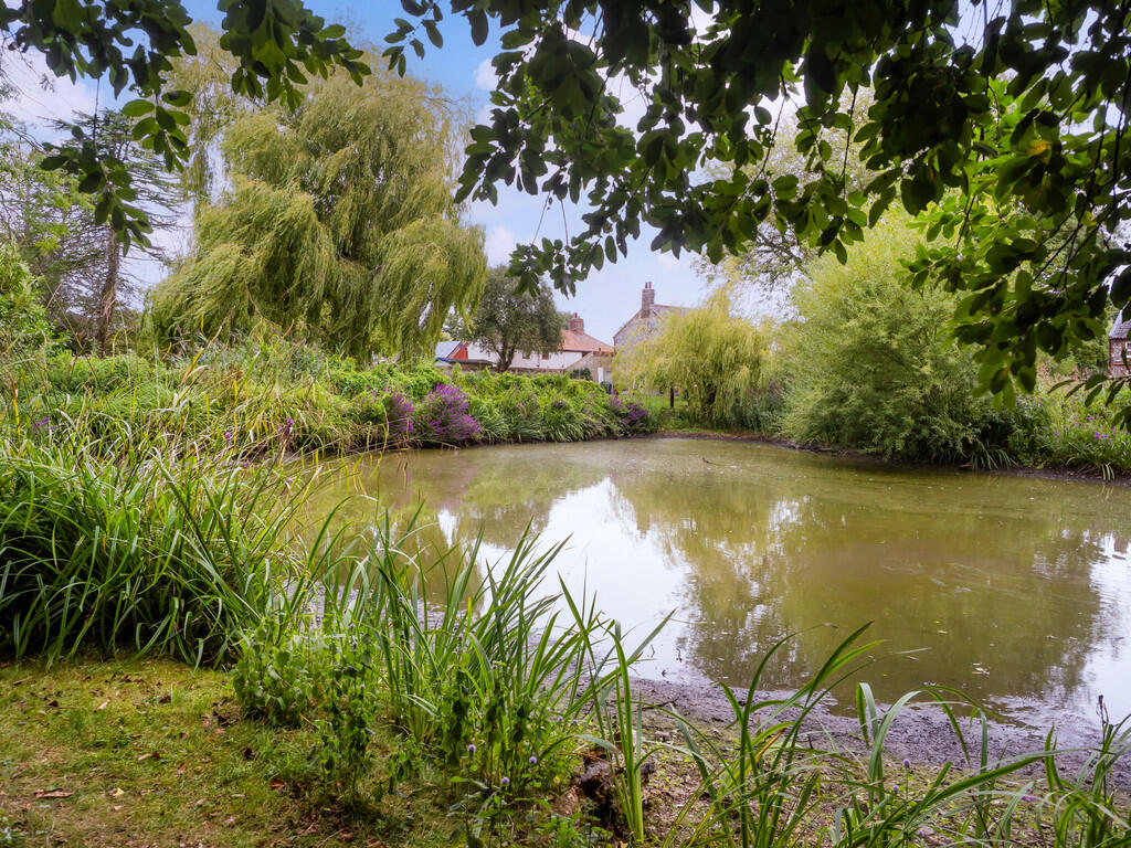4RectoryRow-39