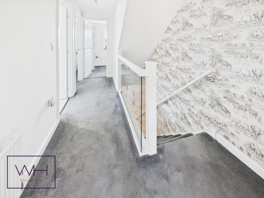 CAM03785G0-PR0325-ST