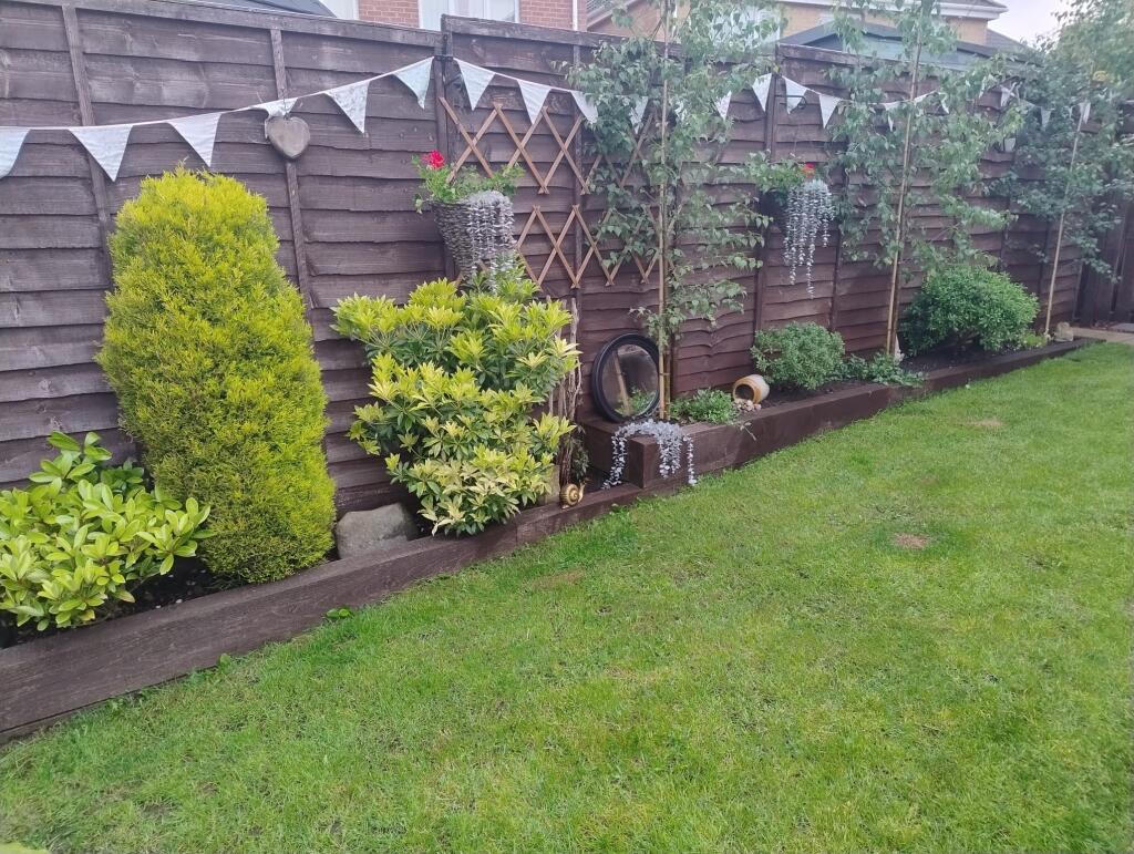 Garden in Spring