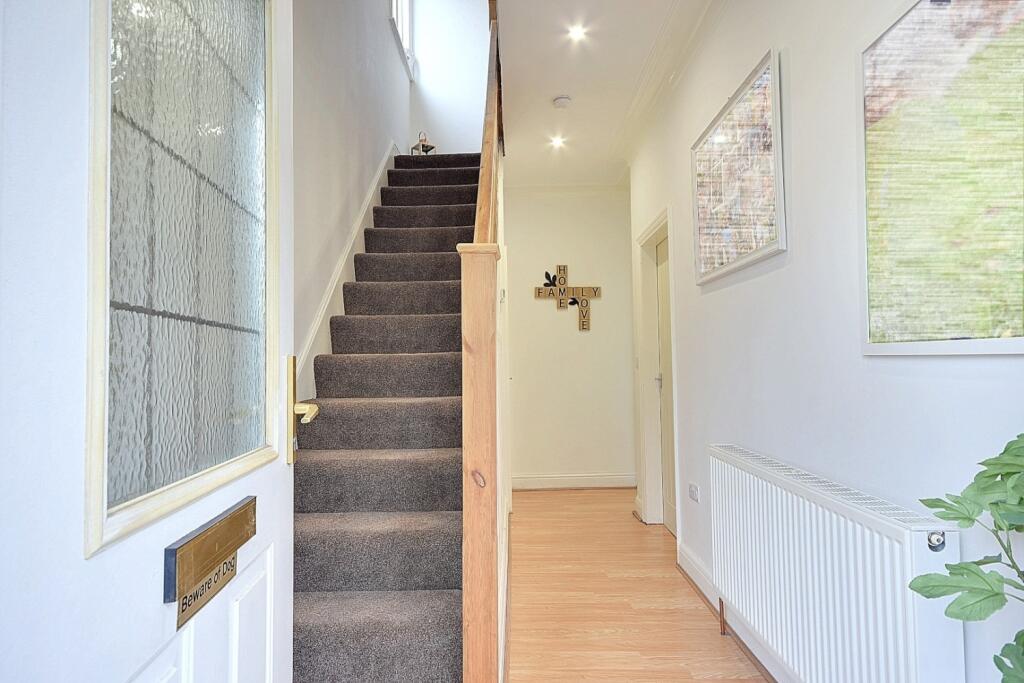 DSC_0154-DSC_0156.tif (Large)2