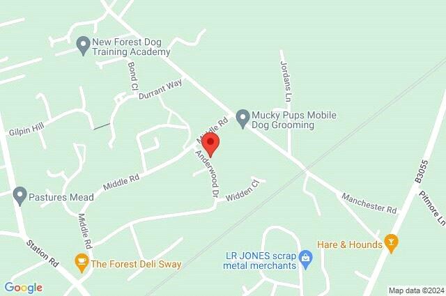 Google Maps Image