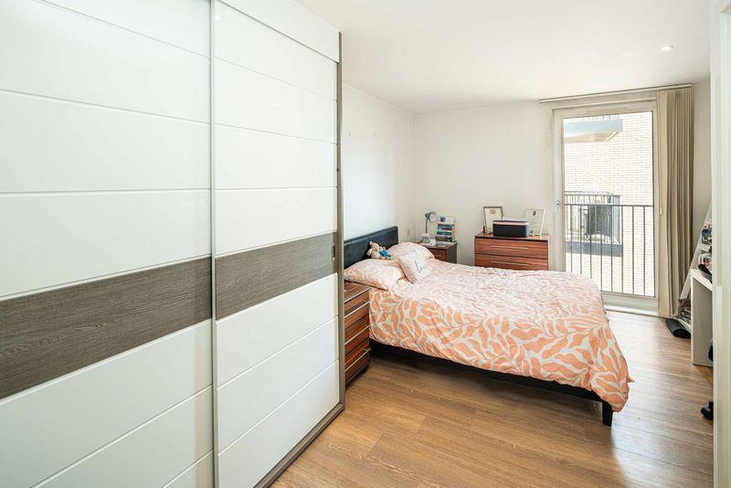 5 baroque master.jpeg