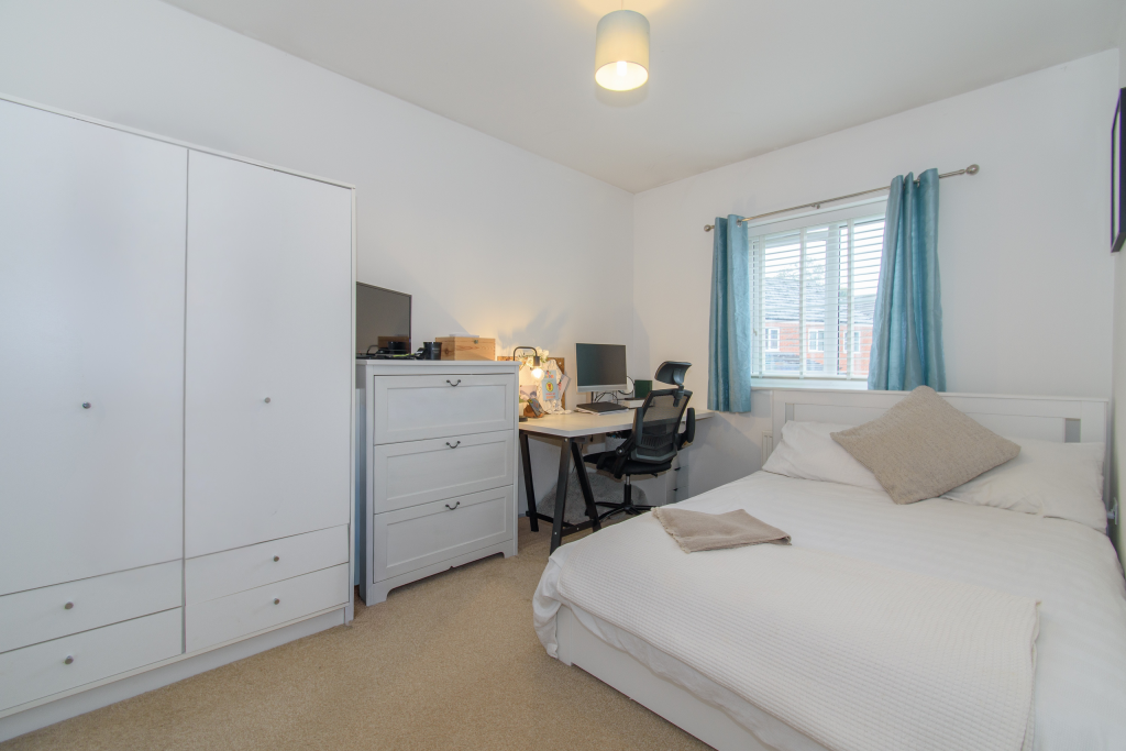 Untitled (5200 x 3900 px) (5200 x 3450 px) (6000 x