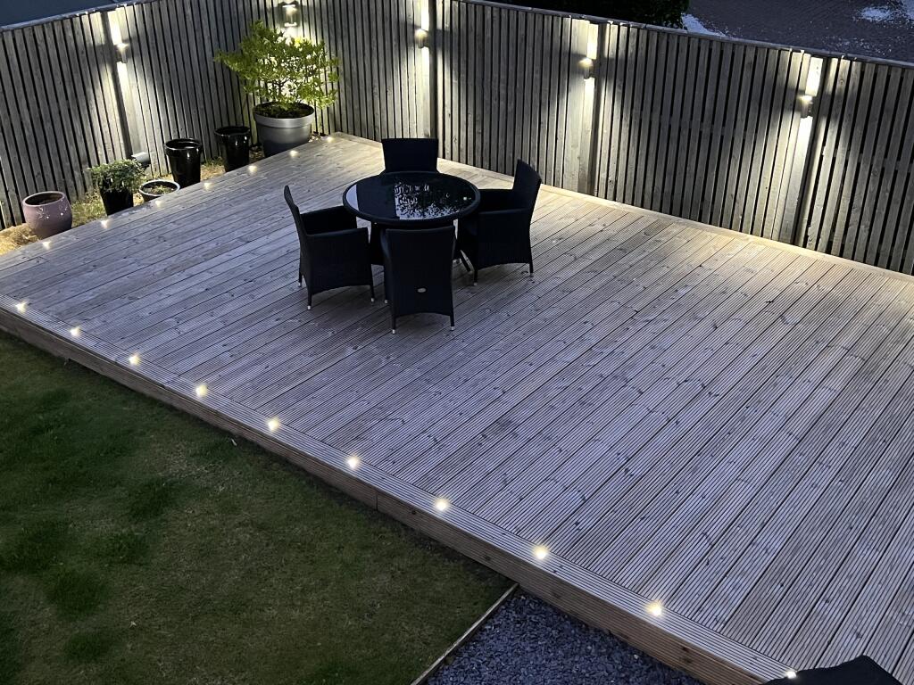 Garden at Night