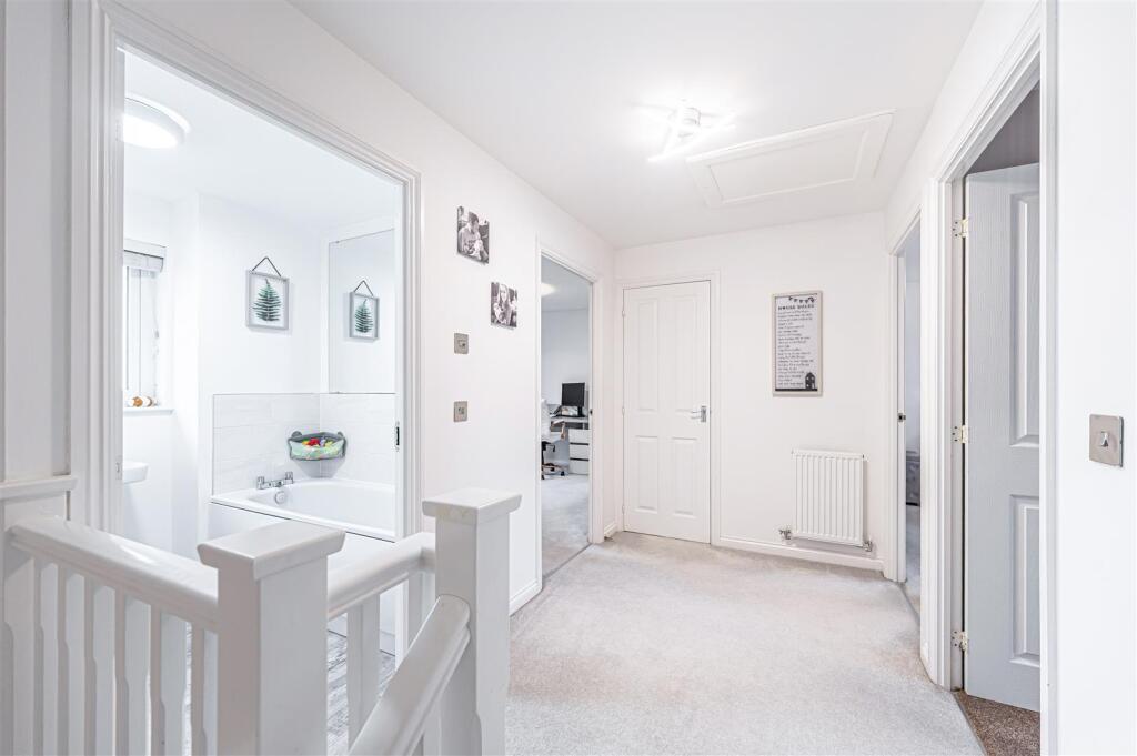 untitled (11 of 1).JPG