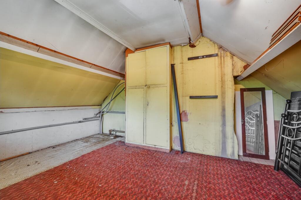 P1881979 T202508071132.jpeg