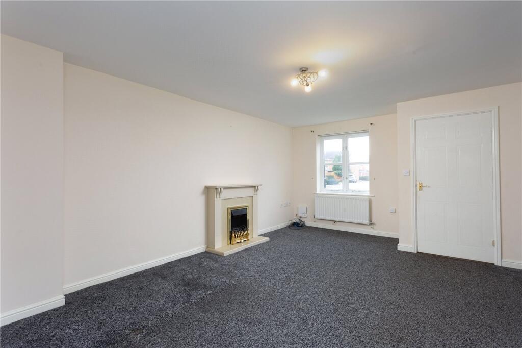 Photos