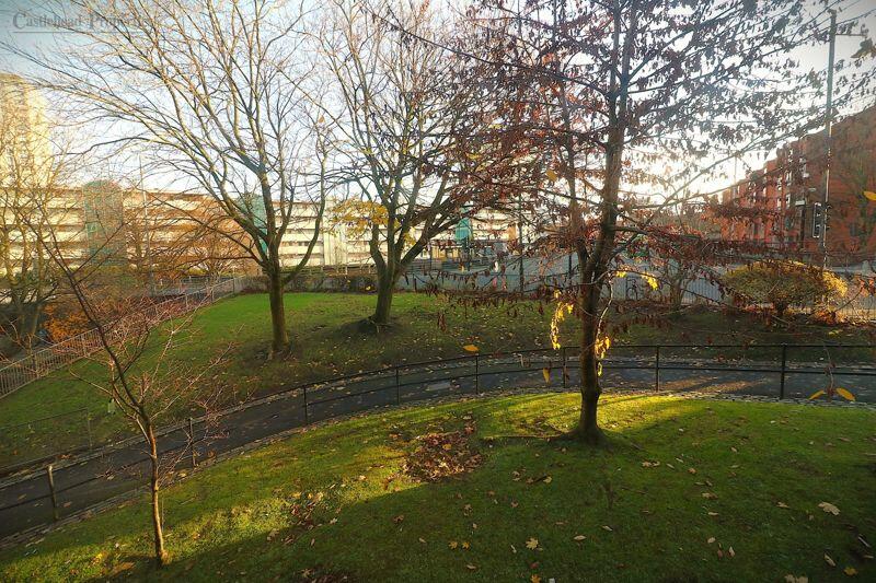 Landscape Surrounds