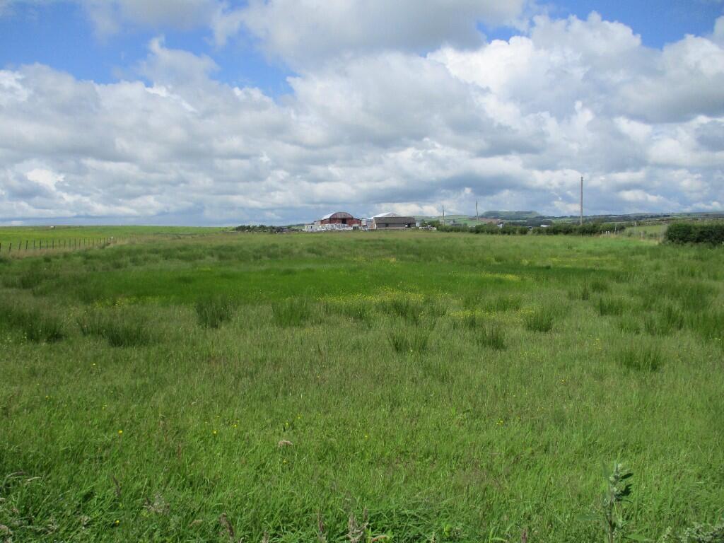 Rear Field Views