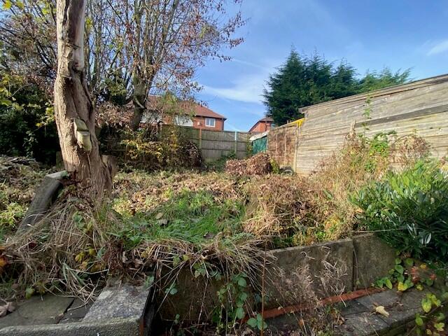 REAR GARDEN T202411270938.jpg