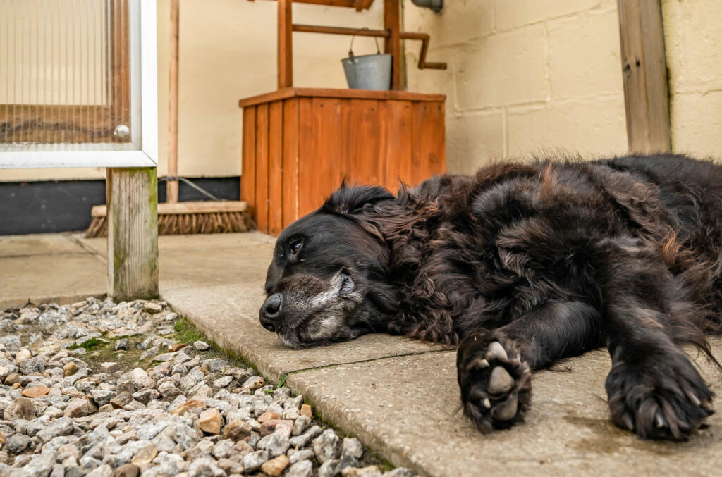 1043119 (19).jpg