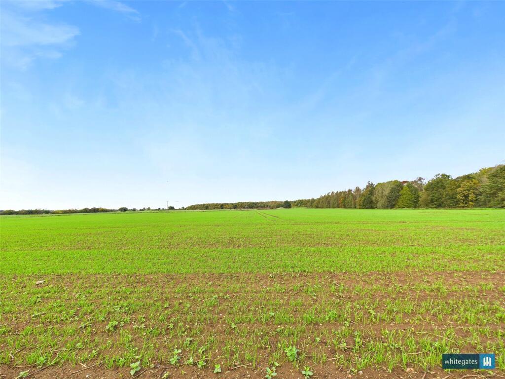Field View