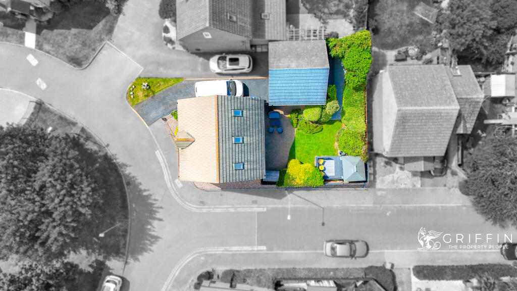 36dji202508051356330064d