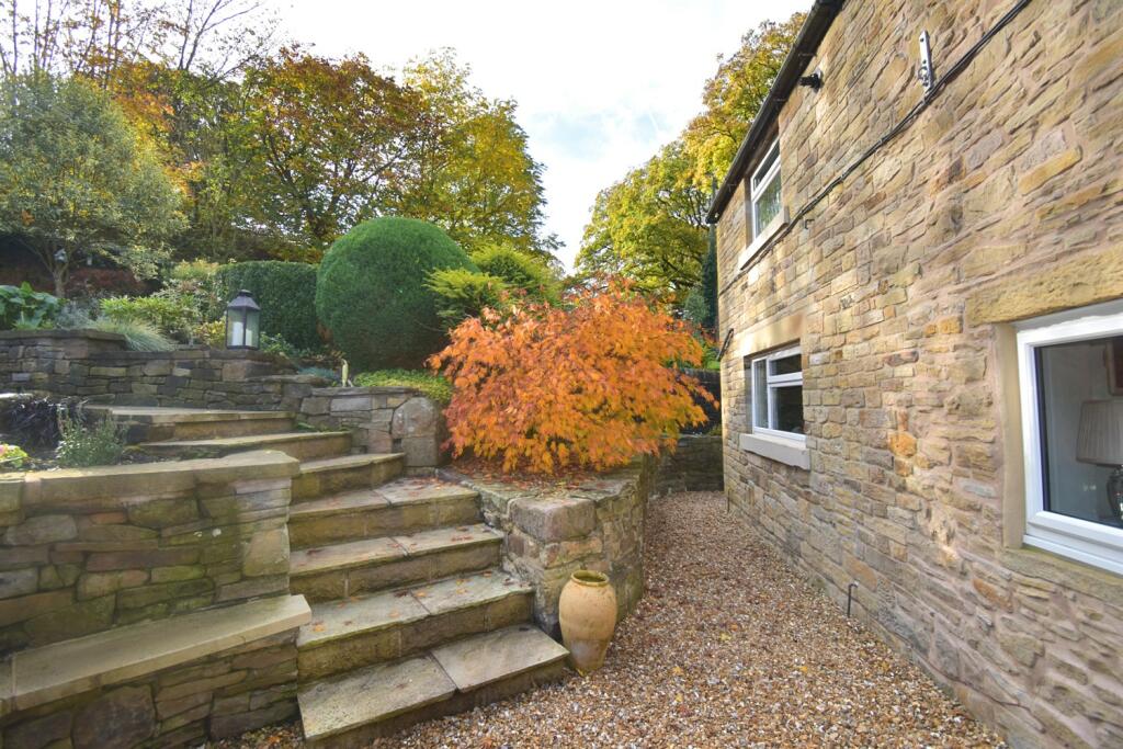 Extensive mature gro