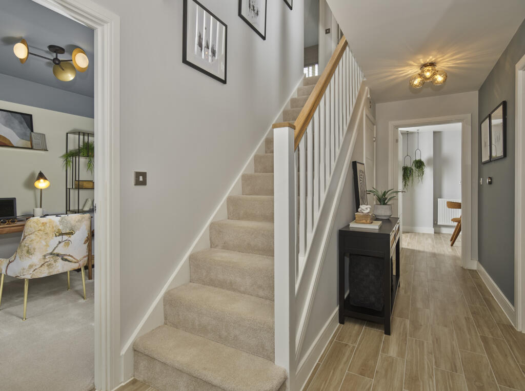 Showhome photography