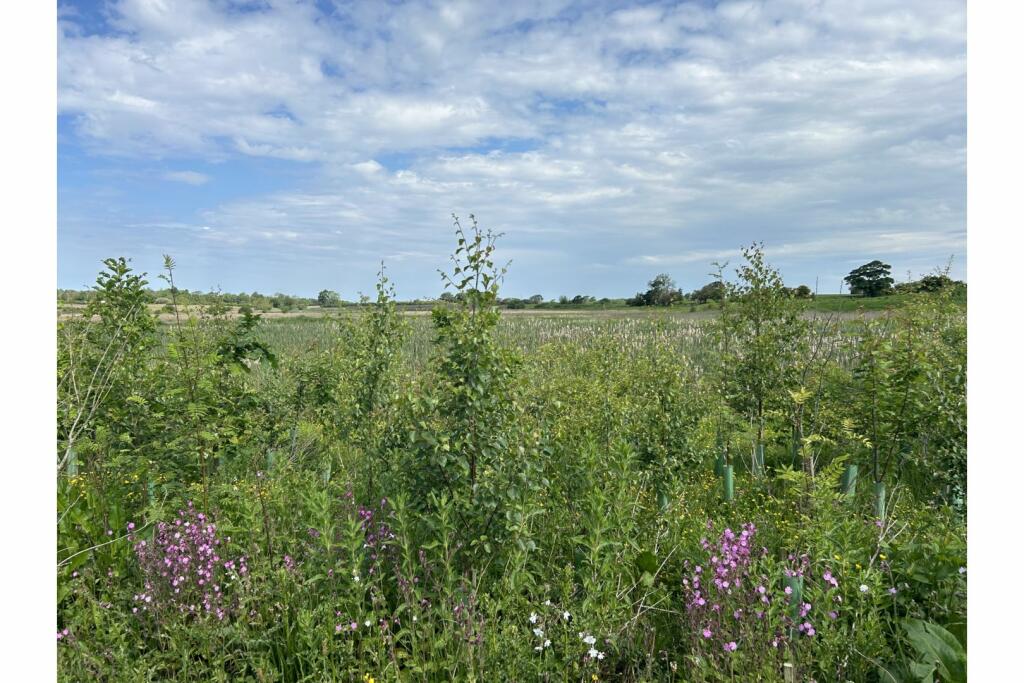 Nature Reserve