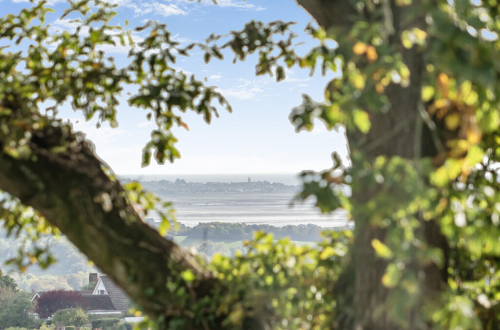 Distant Estuaryviews