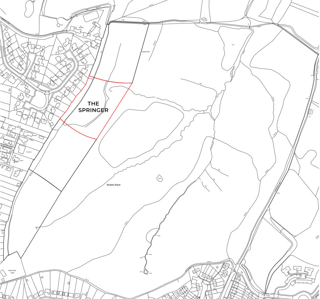 Brokeswood Springer Outline