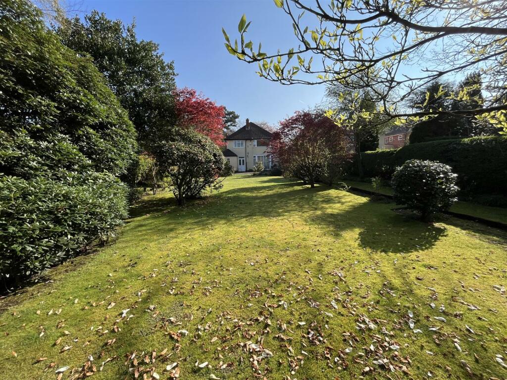 Rear of Property 2.jpg