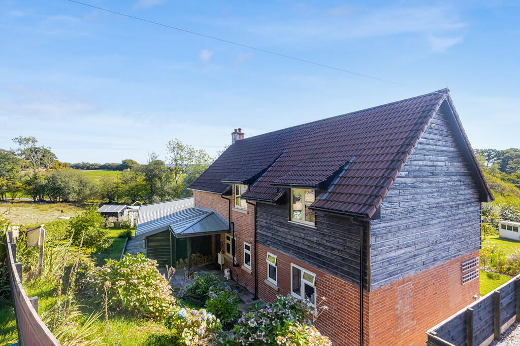 A18 - Cuckoo Down...