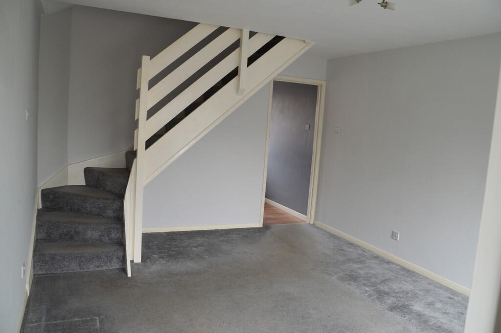 DSC_0002 - Copy (...